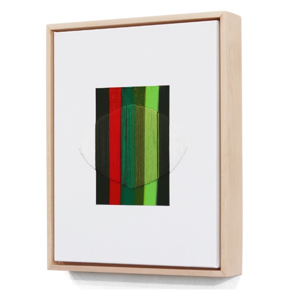 Raul de la Torre: The Lights of Prospect Park image 6